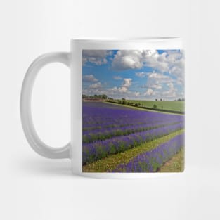 Lavender Field Purple Flowers Cotswolds England Mug